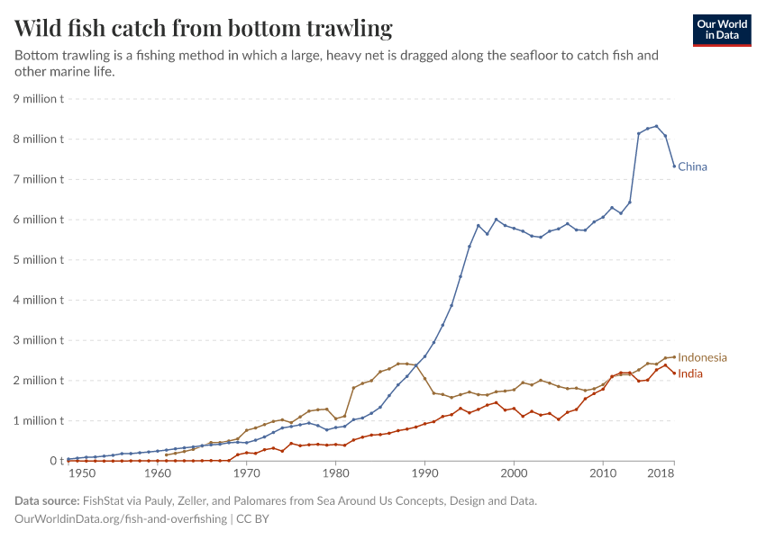 Wild fish catch from bottom trawling