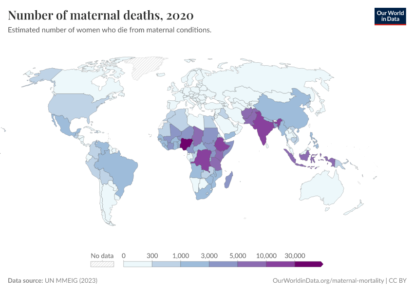 A thumbnail of the "Number of maternal deaths" chart